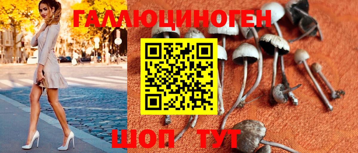 Галлюциногенные грибы Psilocybine cubensis  Вход с VPN  Рязань  Псилоцибиновые грибы Psilocybine cubensis 