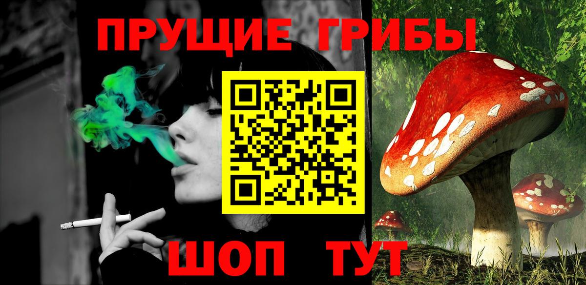 Галлюциногенные грибы GOLDEN TEACHER Рязань